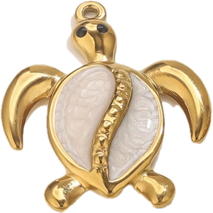 charm tortue
